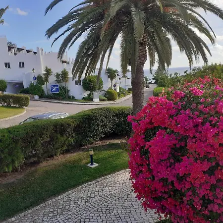 Apartment Vila Gaivota With Terrace In